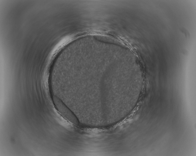 X0000111460197200908241326