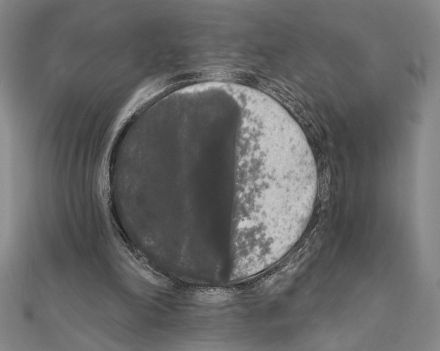 X0000111460198200908241326