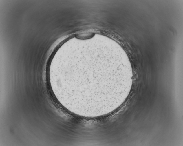 X0000111460200200908241326
