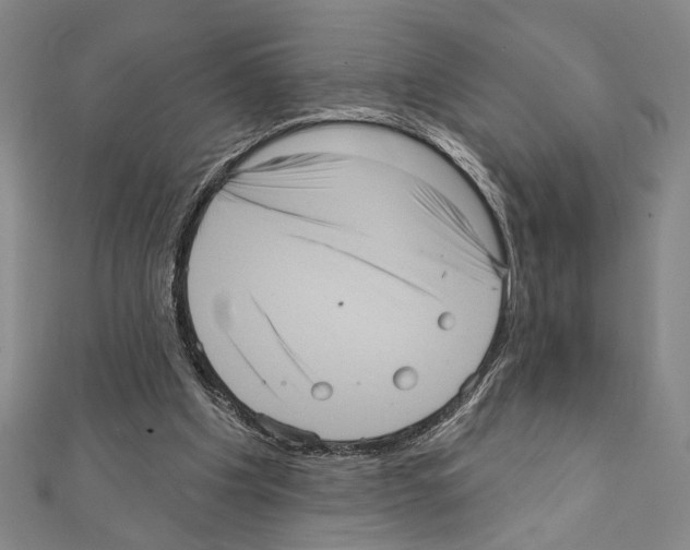X0000111460201200908241326