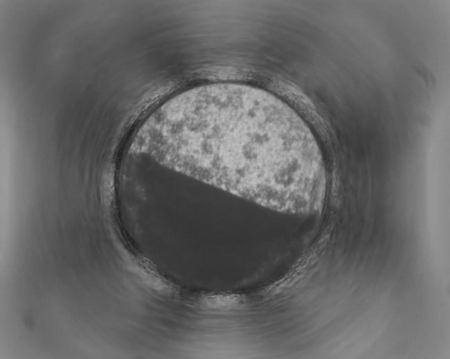 X0000111460202200908241326