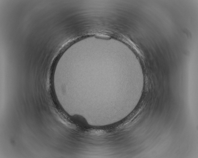 X0000111460203200908241326