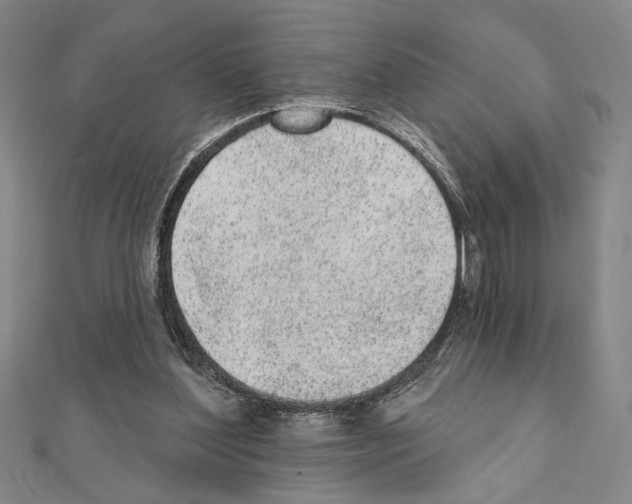 X0000111460204200908241326