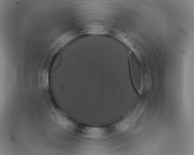 X0000111460205200908241326