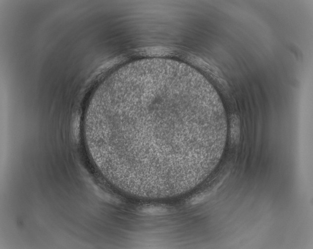 X0000111460206200908241326