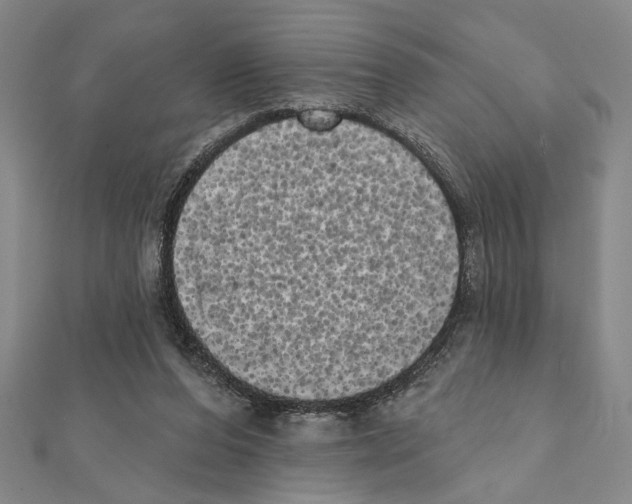 X0000111460208200908241326
