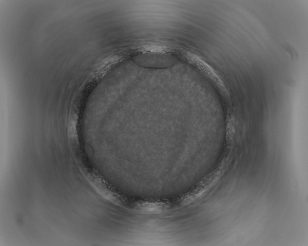 X0000111460209200908241326