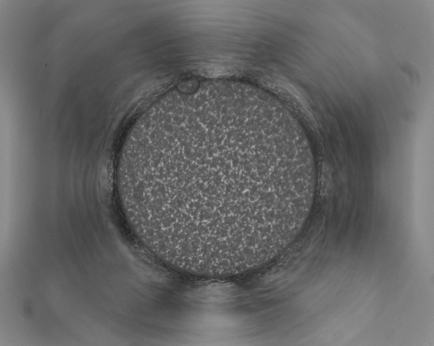 X0000111460210200908241326