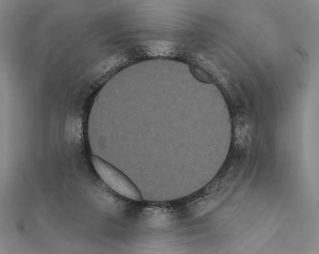 X0000111460211200908241326