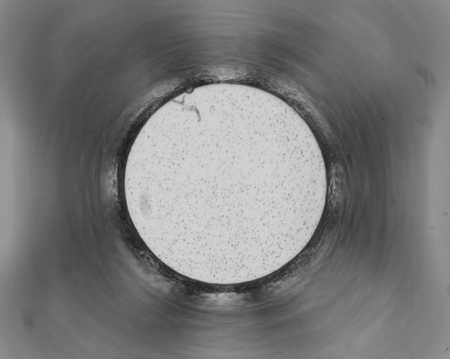 X0000111460212200908241326