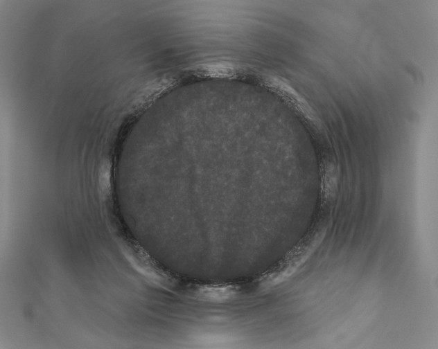 X0000111460213200908241326