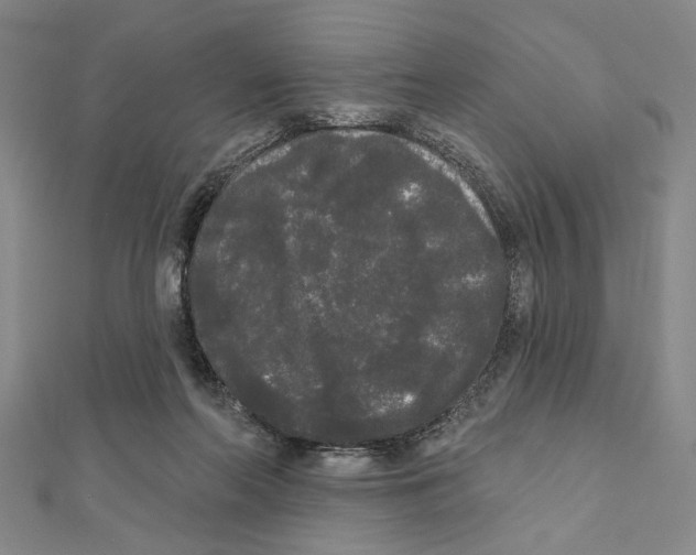 X0000111460214200908241326