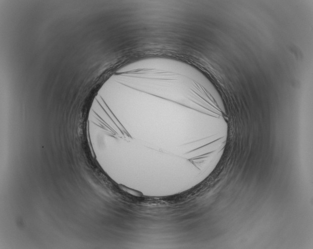 X0000111460215200908241326