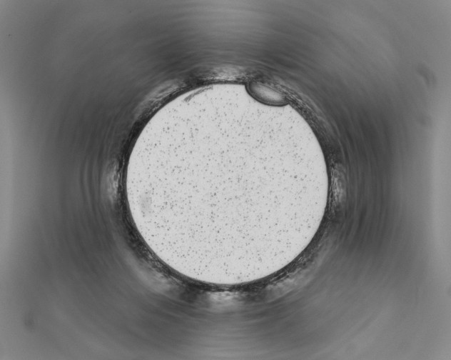 X0000111460216200908241326