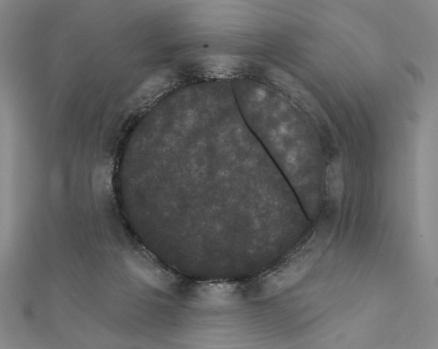 X0000111460217200908241326