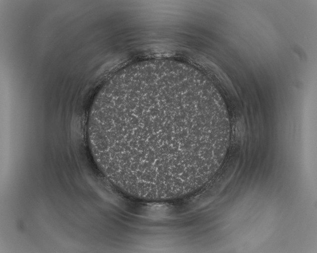 X0000111460218200908241326