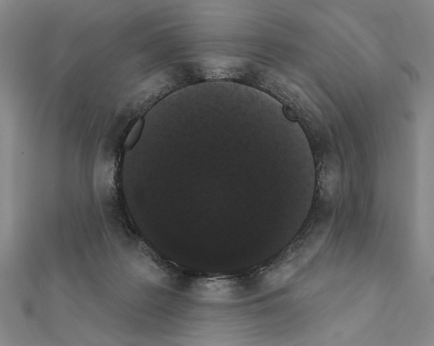 X0000111460219200908241326