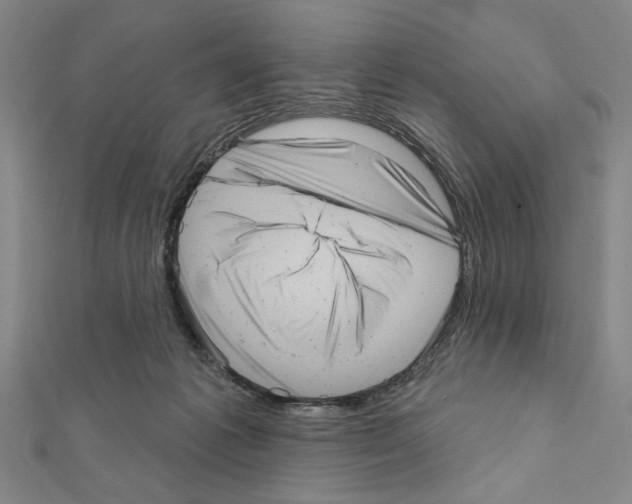 X0000111460221200908241326