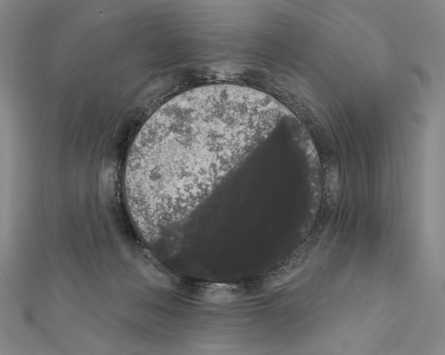 X0000111460222200908241326