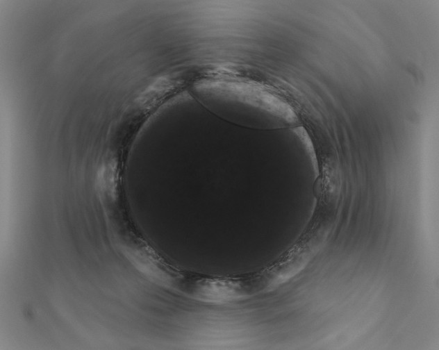X0000111460223200908241326