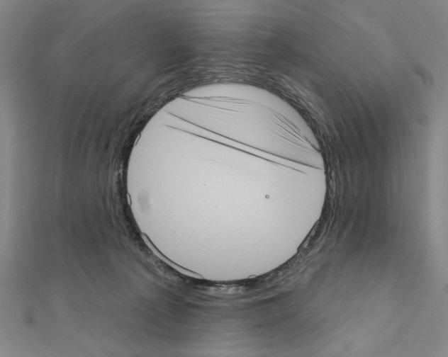 X0000111460225200908241326