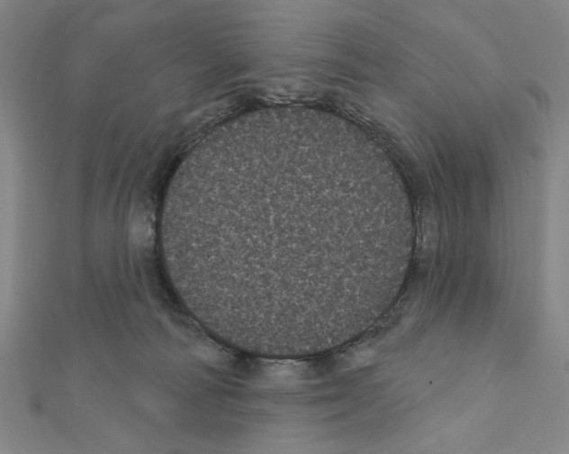 X0000111460226200908241326