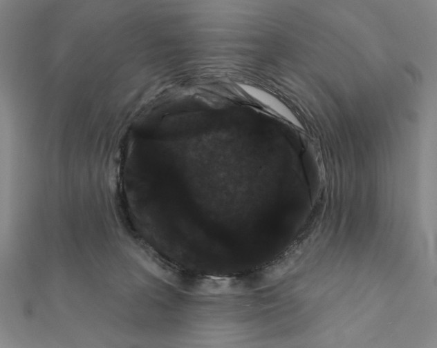 X0000111460227200908241326