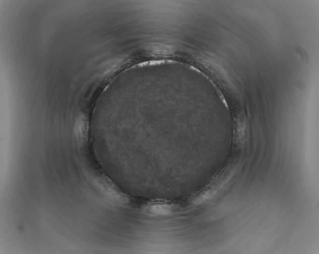 X0000111460228200908241326