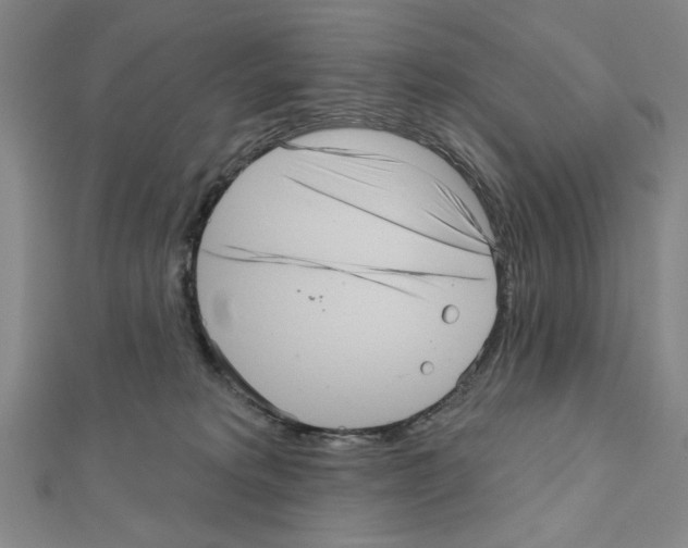 X0000111460229200908241326