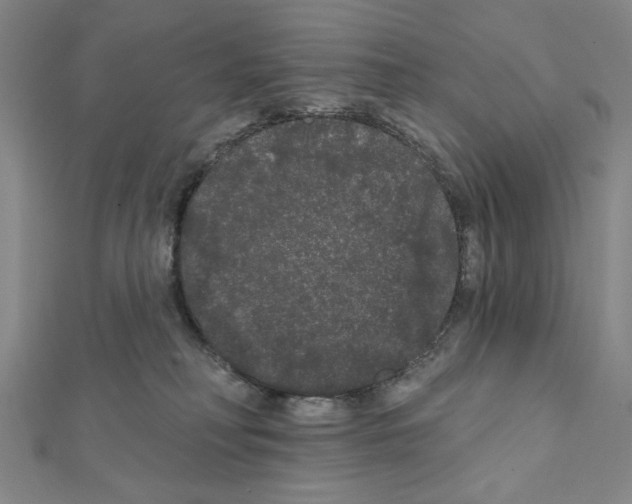 X0000111460230200908241326