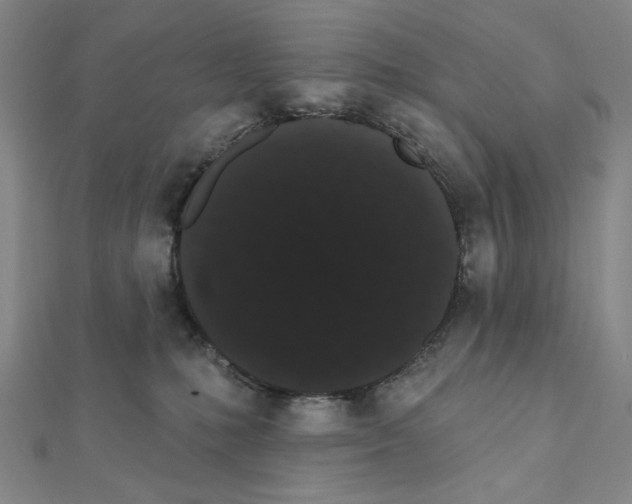 X0000111460231200908241326