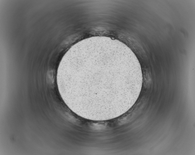 X0000111460232200908241326