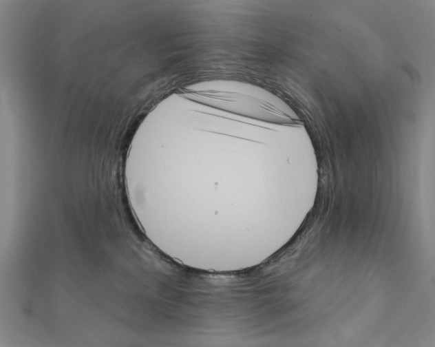 X0000111460233200908241326