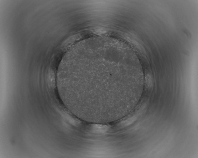 X0000111460234200908241326