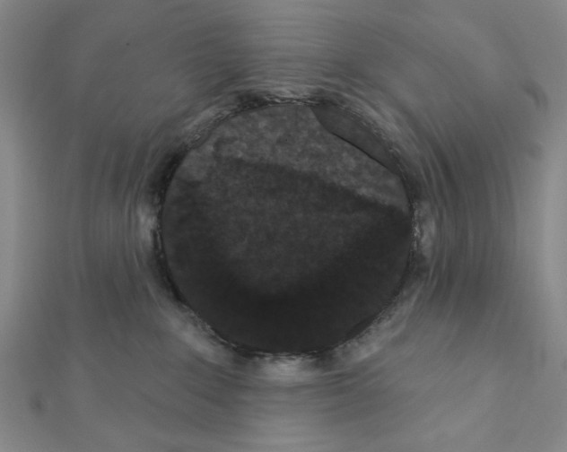 X0000111460235200908241326