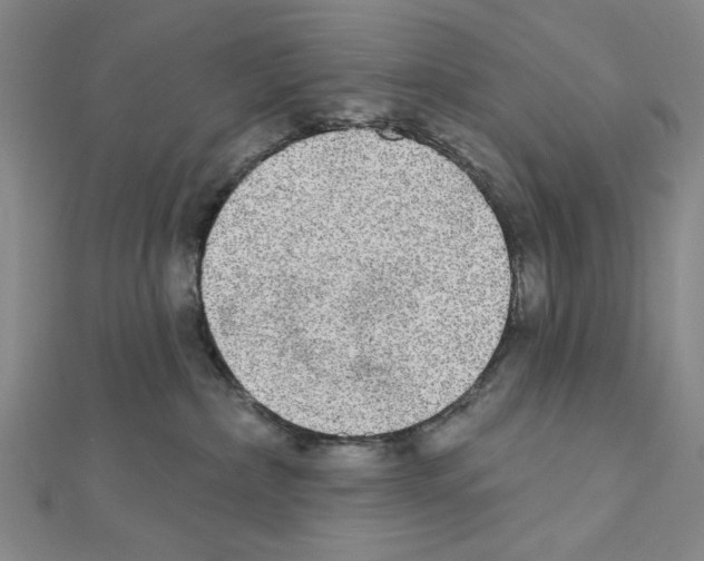 X0000111460236200908241326