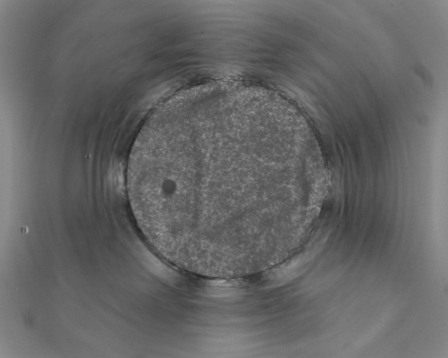 X0000111460238200908241326