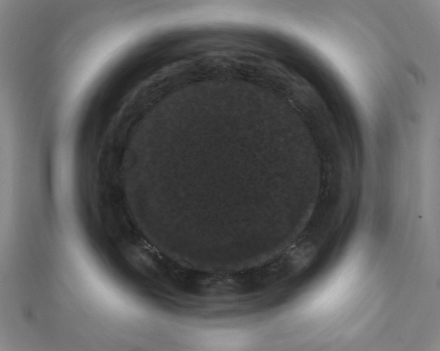 X0000111460239200908241326
