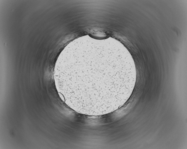 X0000111460240200908241326