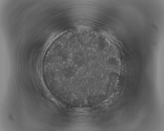 X0000111460241200908241325