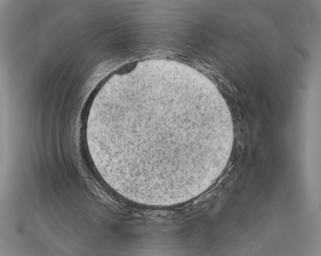 X0000111460242200908241325