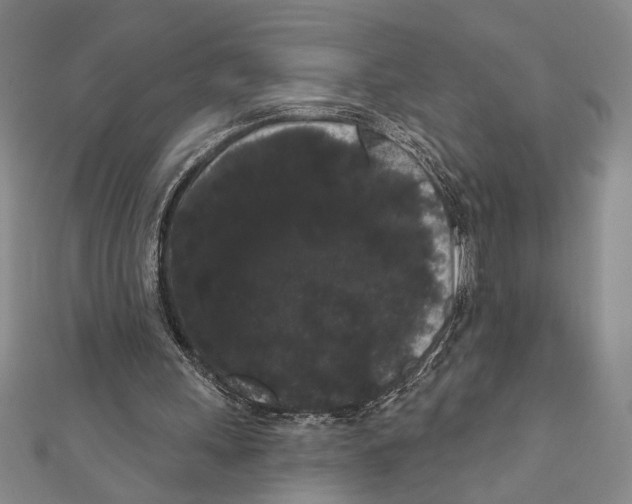 X0000111460243200908241325