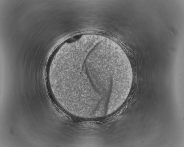 X0000111460244200908241325
