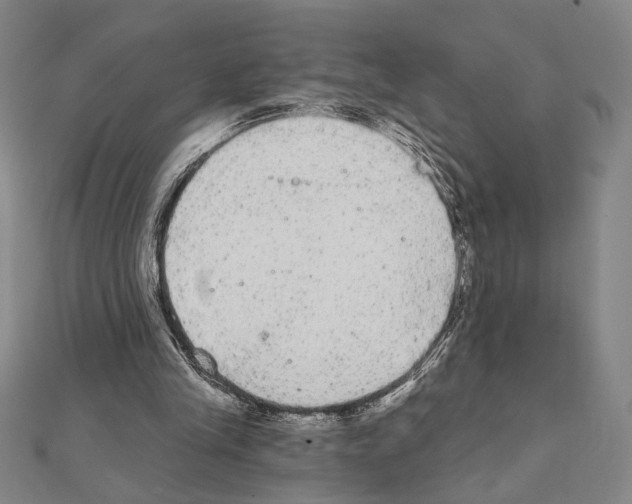 X0000111460245200908241325