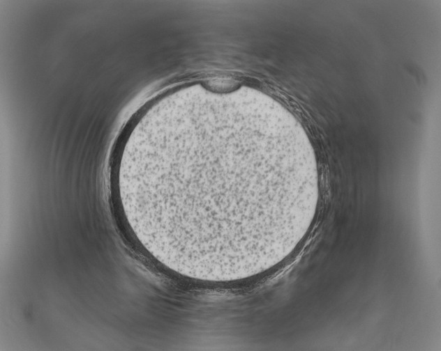 X0000111460246200908241325