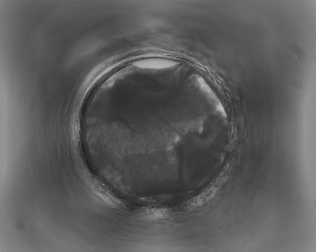X0000111460247200908241325