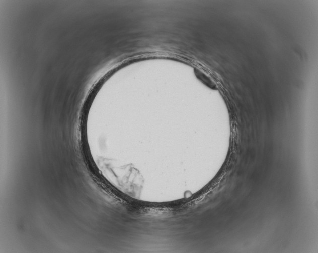 X0000111460248200908241325