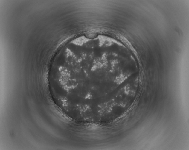 X0000111460249200908241325