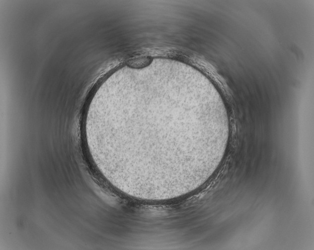 X0000111460250200908241325