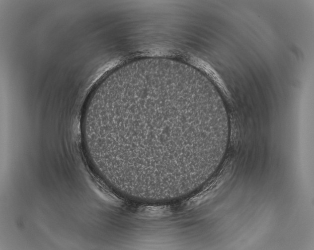 X0000111460251200908241325